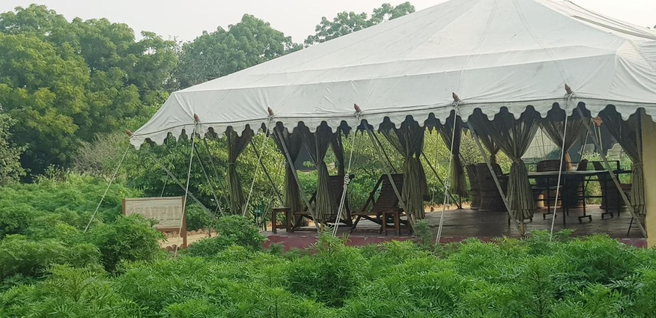 Orchard Tents & Tranquility 푸쉬카르 외부 사진